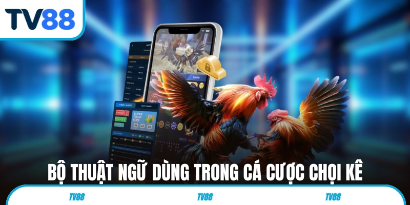 Bộ thuật ngữ dùng trong cá cược chọi kê 