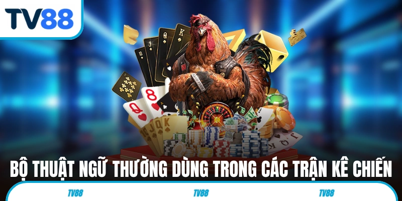 Bộ thuật ngữ thường dùng trong các trận kê chiến