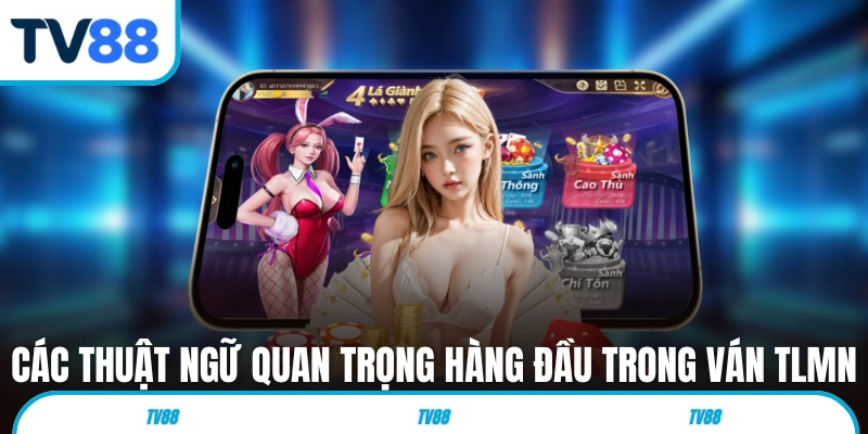 Các thuật ngữ quan trọng hàng đầu trong ván TLMN